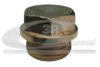 FIAT 16993411 Oil Drain Plug, oil pan